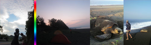 ���ߤ���